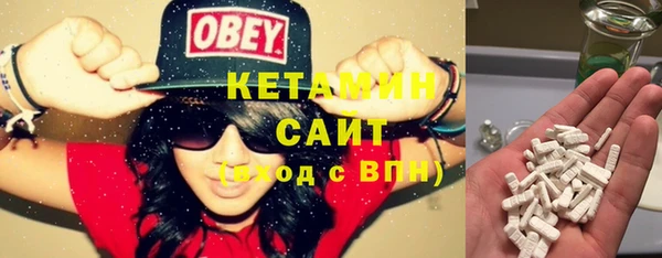 крисы Новодвинск