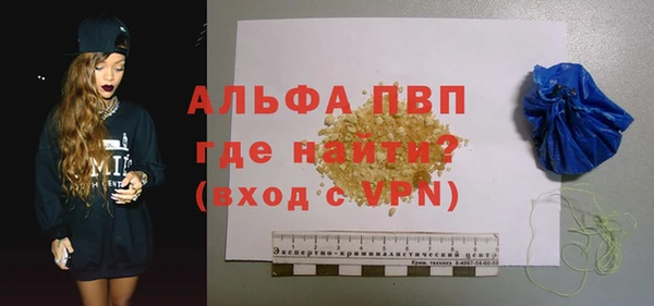 крисы Новодвинск
