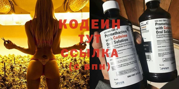 крисы Новодвинск