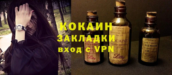 крисы Новодвинск