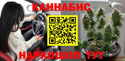спайс Гатчина