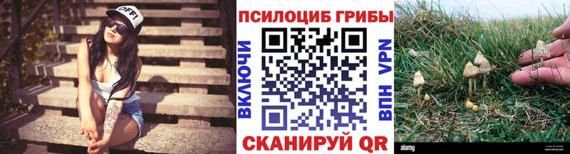 Галлюциногенные грибы MAGIC MUSHROOMS  Заволжье 
