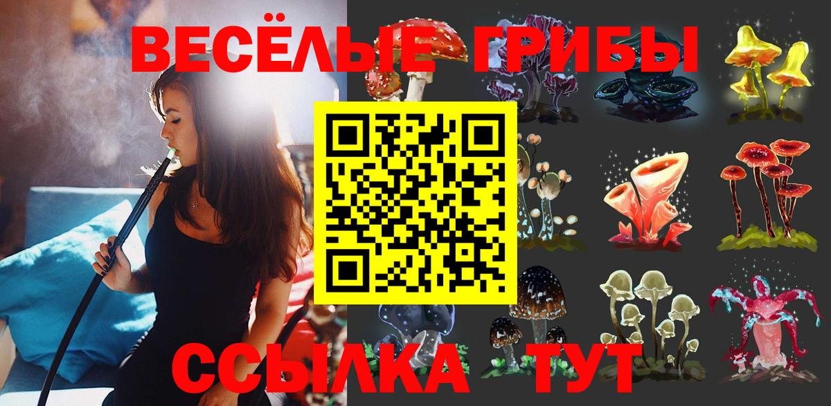 Псилоцибиновые грибы Magic Shrooms  Заволжье 