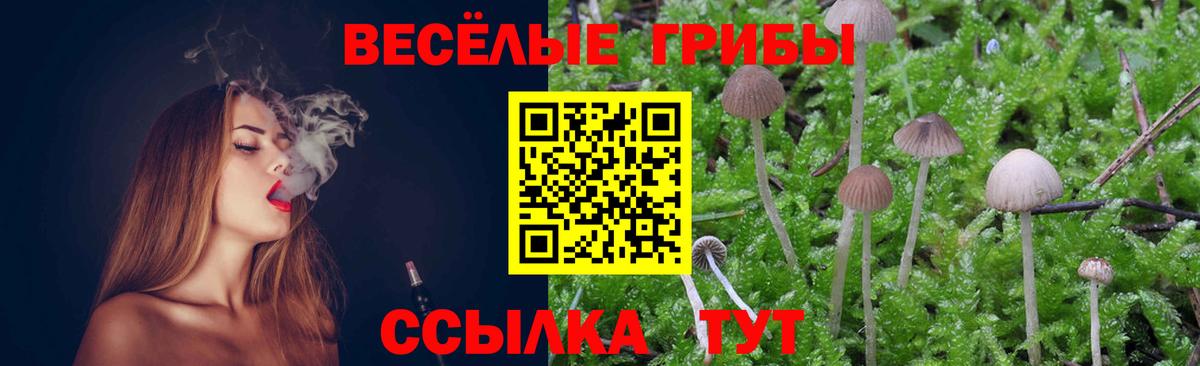 Заволжье  Псилоцибиновые грибы Psilocybine cubensis  Вход с VPN  Галлюциногенные грибы мицелий 