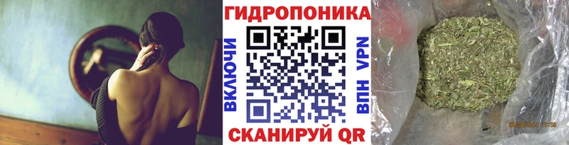 Бошки марихуана планчик  Заволжье 